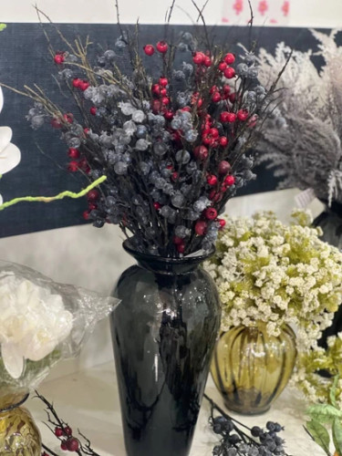 شاخه بلوبری بلند (چند شاخه وارداتی )