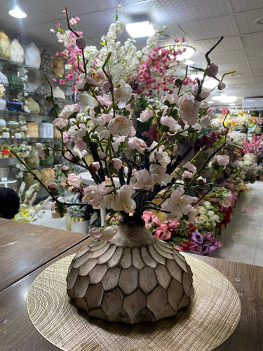 شکوفه ژاپنی وارداتی ( رنگ سفید و صورتی )