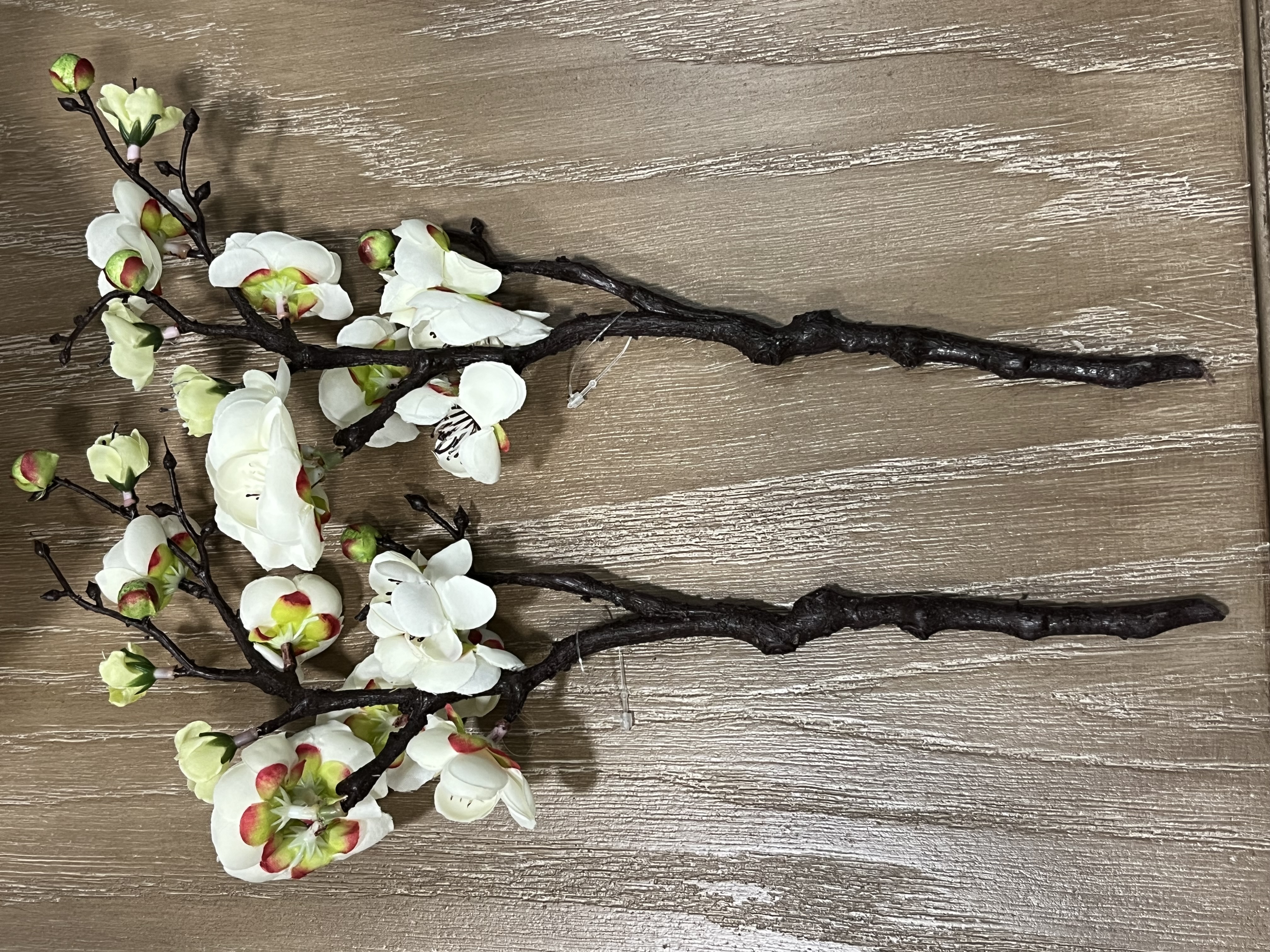 شکوفه ژاپنی وارداتی ( رنگ سفید و صورتی )