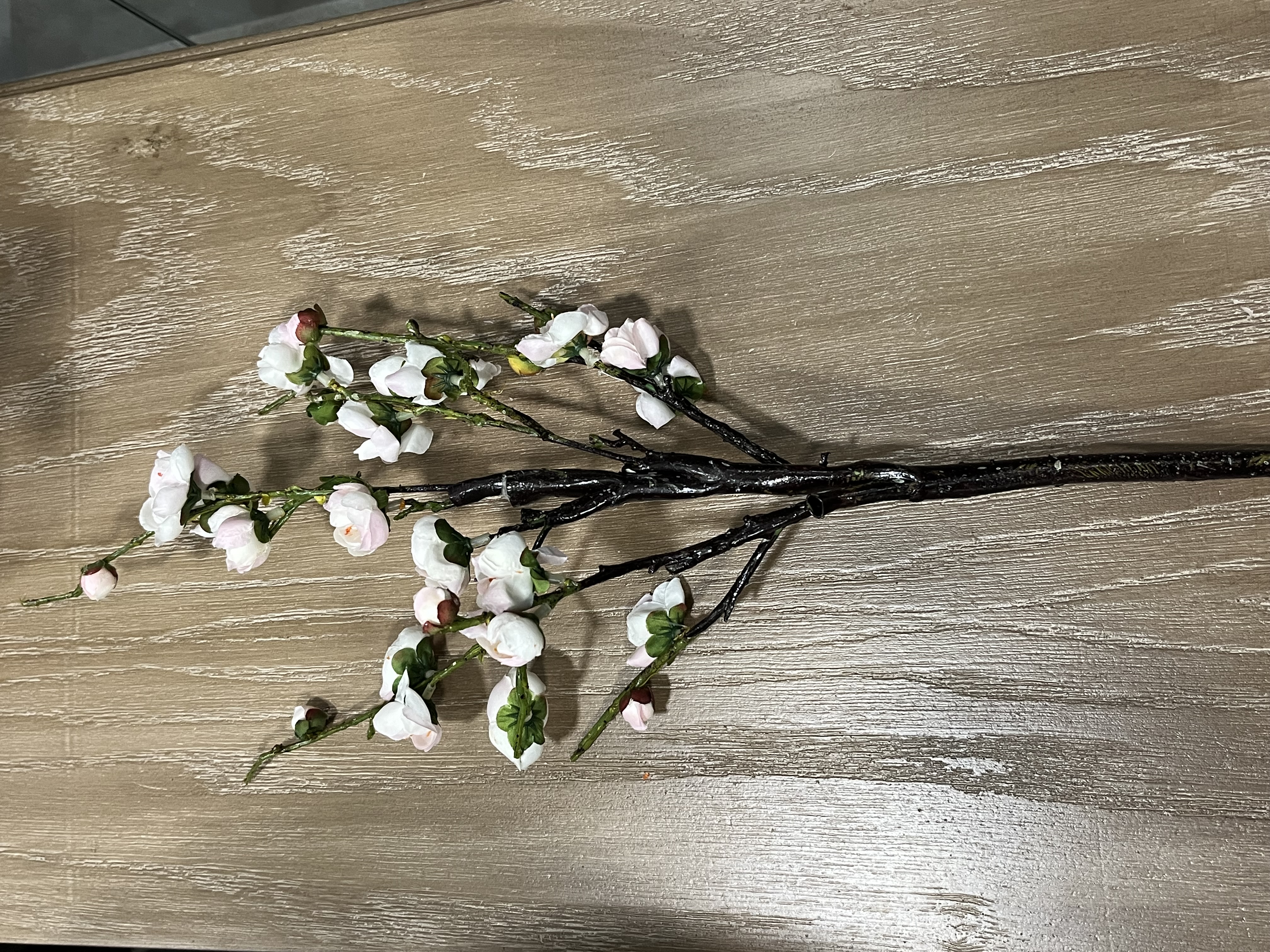 شکوفه ژاپنی وارداتی ( رنگ سفید و صورتی )