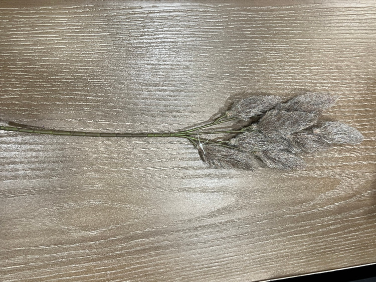 گل کاج درختی شاخه ایی وارداتی( رنگ نسکافه ایی و کرم)