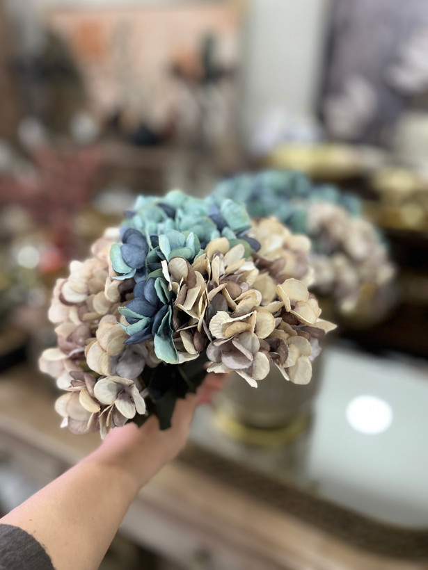 بوته هرتانسیا ( رنگ ابی و صورتی)