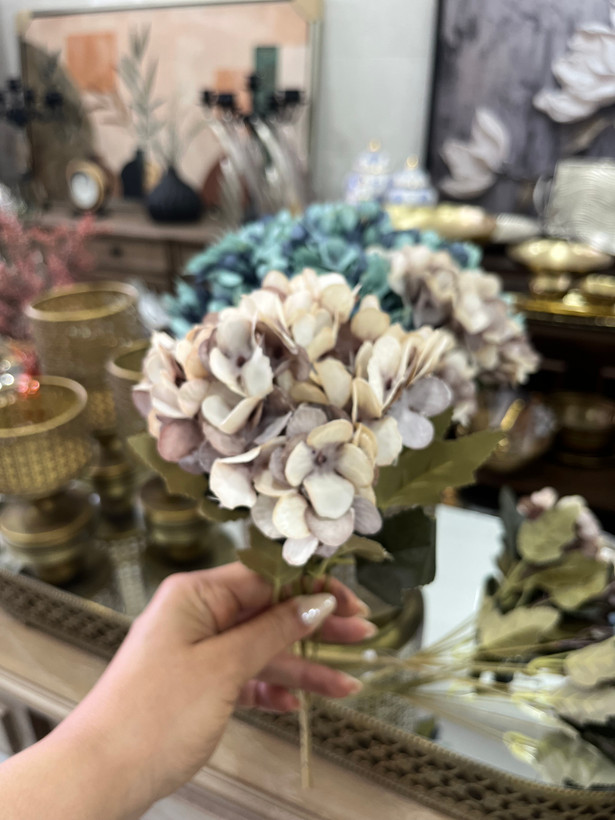بوته هرتانسیا ( رنگ ابی و صورتی)