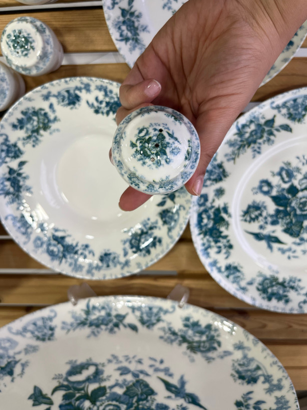 سرویس غذا خوری ۳۰ پارچه وارداتی بن چاین ست ۶ نفره با طرح زیبای ( سبز ابی)