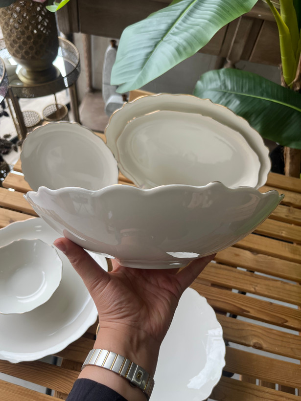 سرویس غذا خوری چینی ۲۹ پارچه الیزابت طرح مانوس ( ست ۶ نفره)