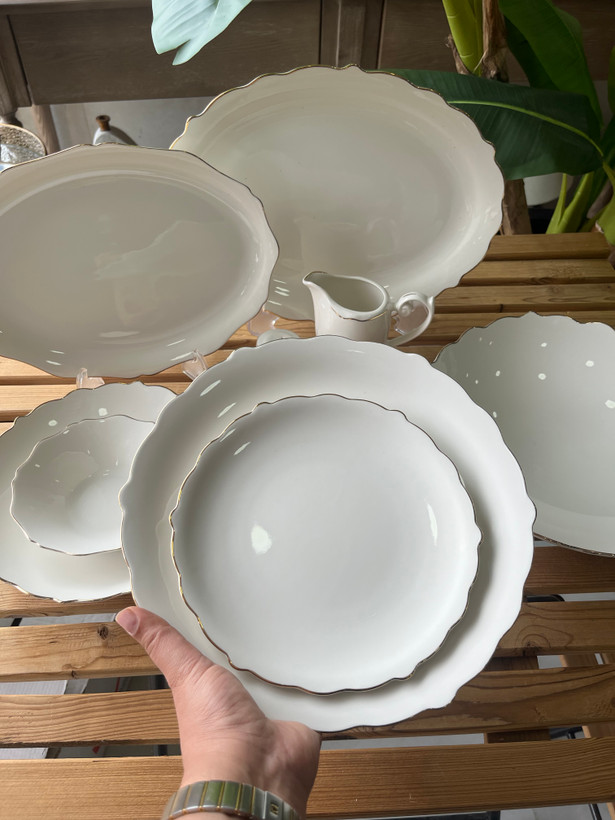 سرویس غذا خوری چینی ۲۹ پارچه الیزابت طرح مانوس ( ست ۶ نفره)