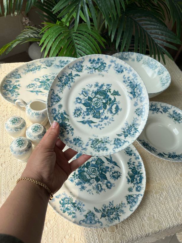 سرویس غذا خوری ۳۰ پارچه وارداتی بن چاین ست ۶ نفره با طرح زیبای ( سبز ابی)